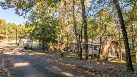 A home in Avinger