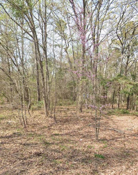 Vacant Land For Sale - TBD Cypresswood<br/> Gilmer, TX 75645
