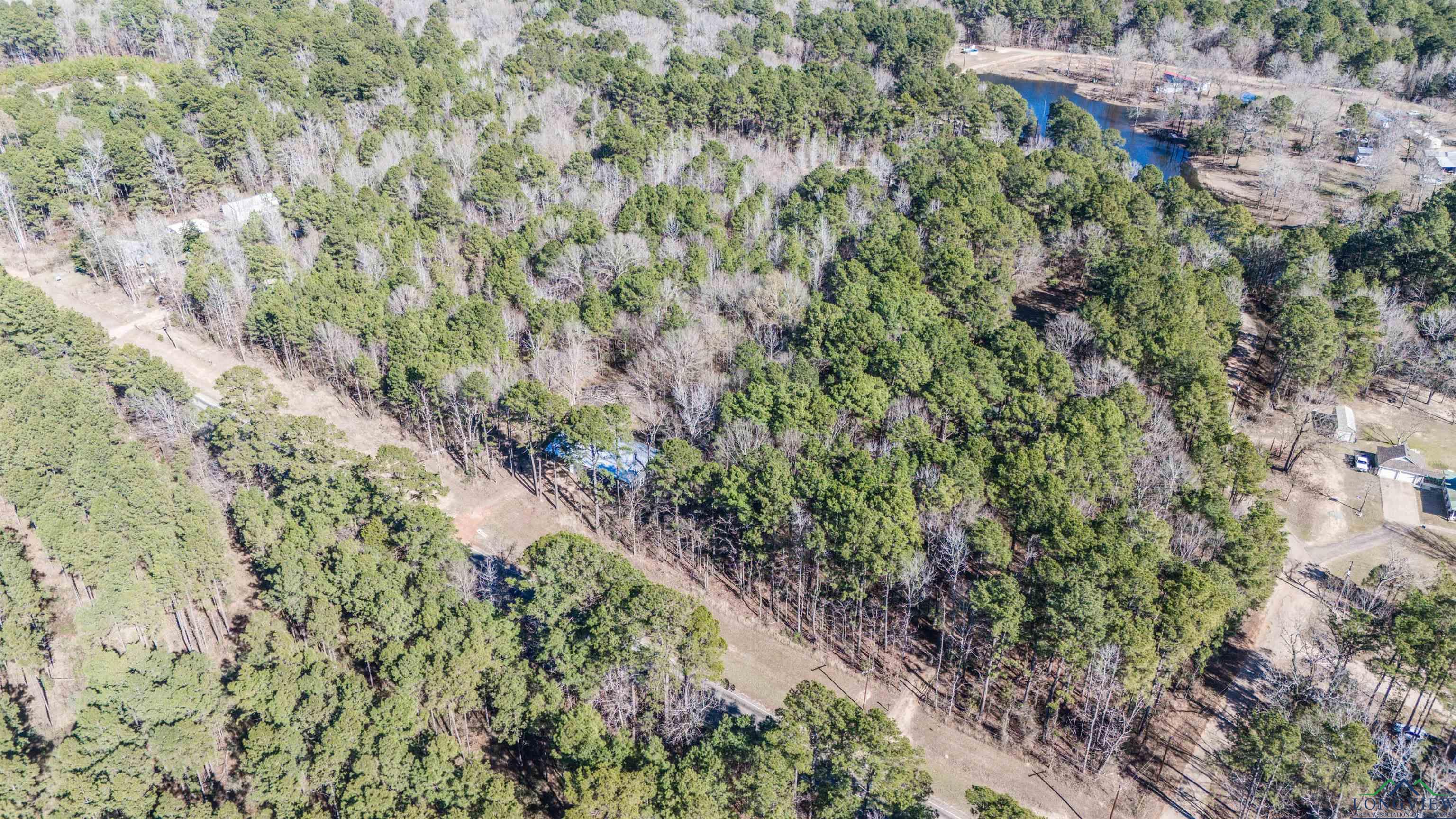 8282 Farm Market 134, Karnack, Texas image 21