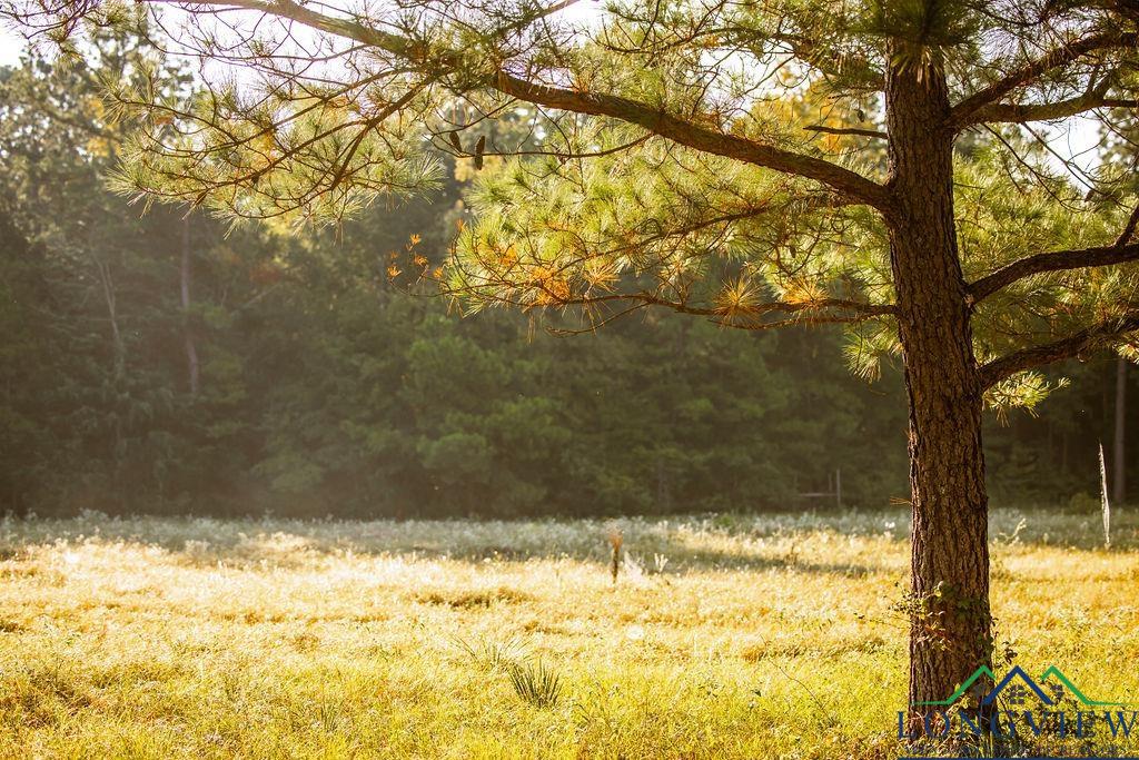 Lot 41 Fm 2015, Tyler, Texas image 7