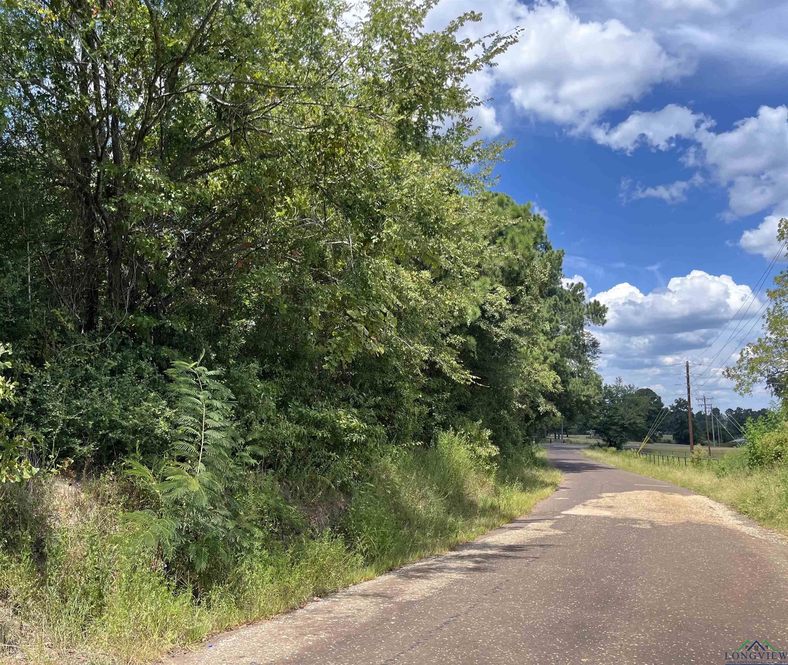 County Road 2132, Tatum, Texas image 5