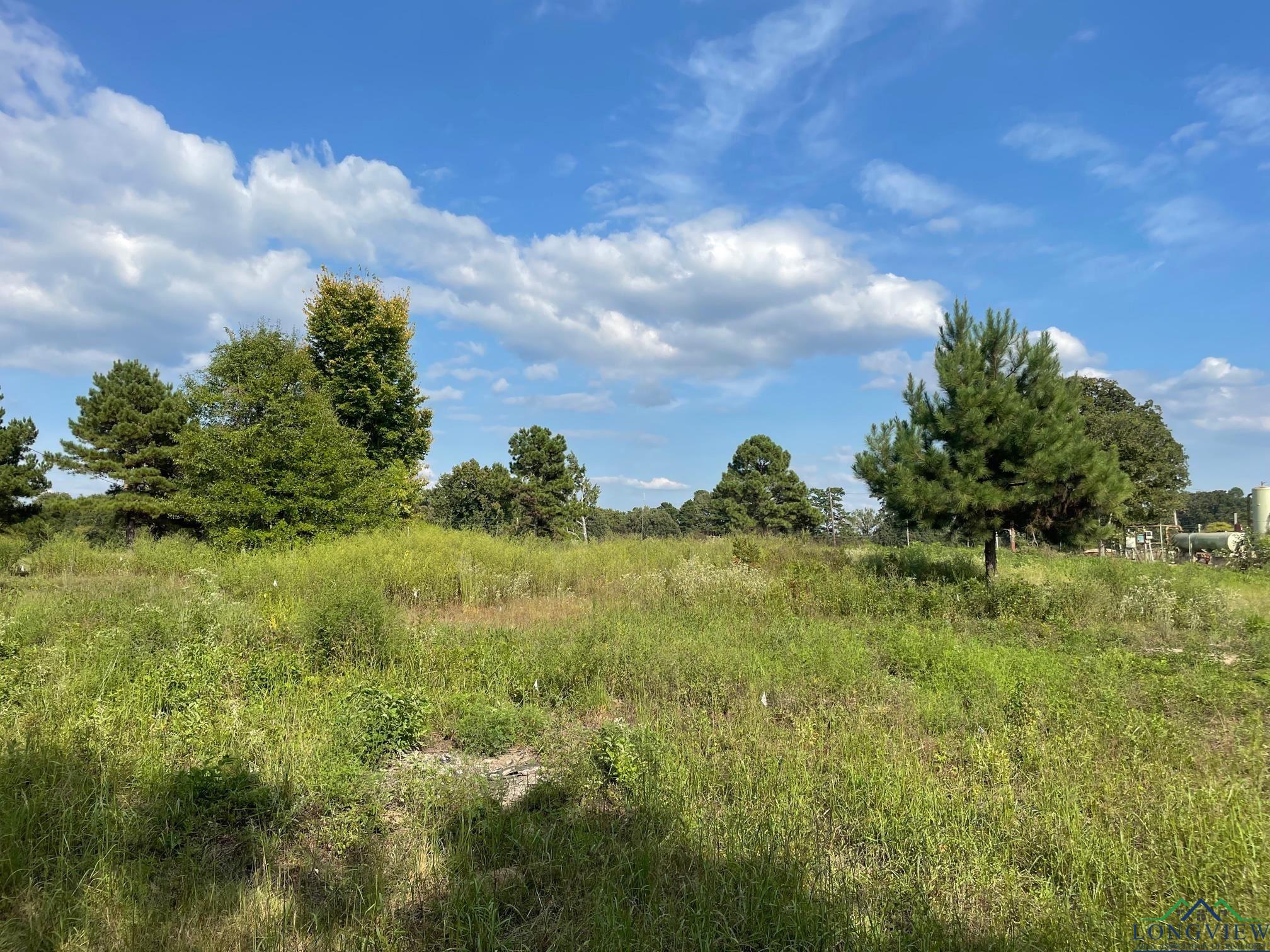 TBD 2.8 Ac North Point Pleasant Rd, Gladewater, Texas image 2