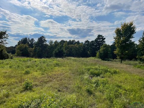 Vacant Land For Sale - TBD 2.8 AC North Point Pleasant Rd<br/> Gladewater, TX 75647