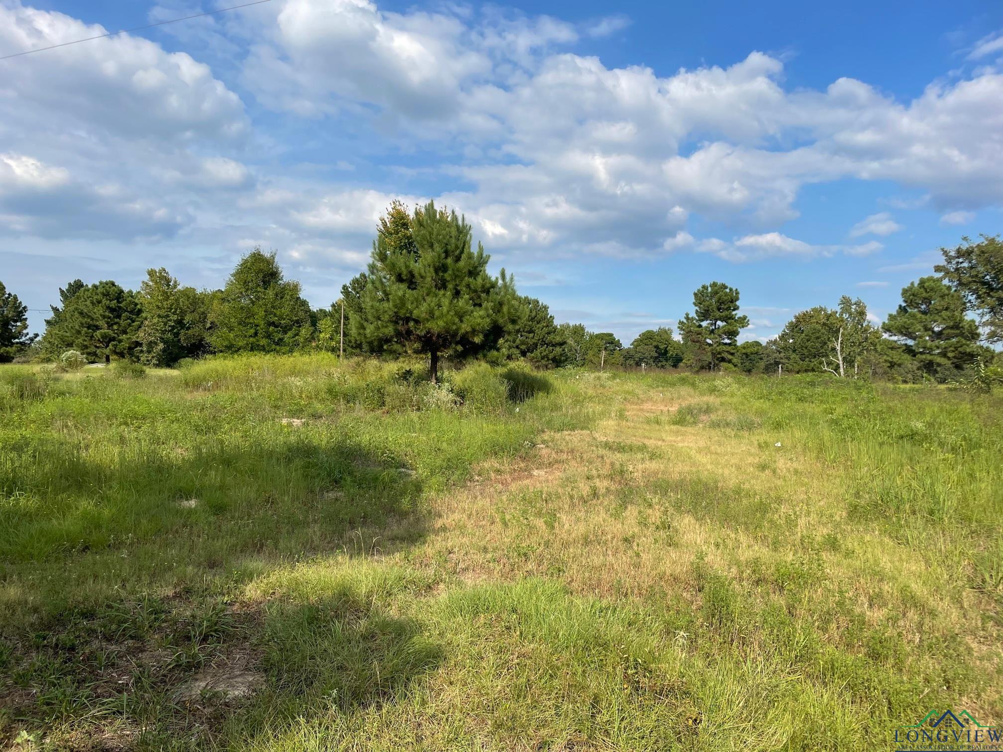 TBD 2.8 Ac North Point Pleasant Rd, Gladewater, Texas image 4