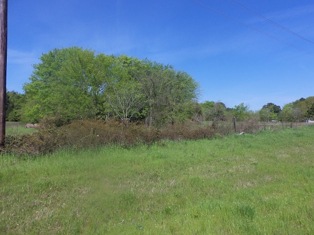 TBD U.s. Hwy. 259 N, Kilgore, Texas image 8