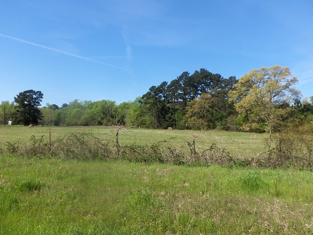 TBD U.s. Hwy. 259 N, Kilgore, Texas image 1