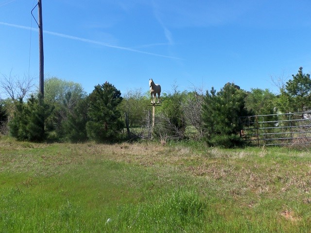 TBD U.s. Hwy. 259 N, Kilgore, Texas image 3