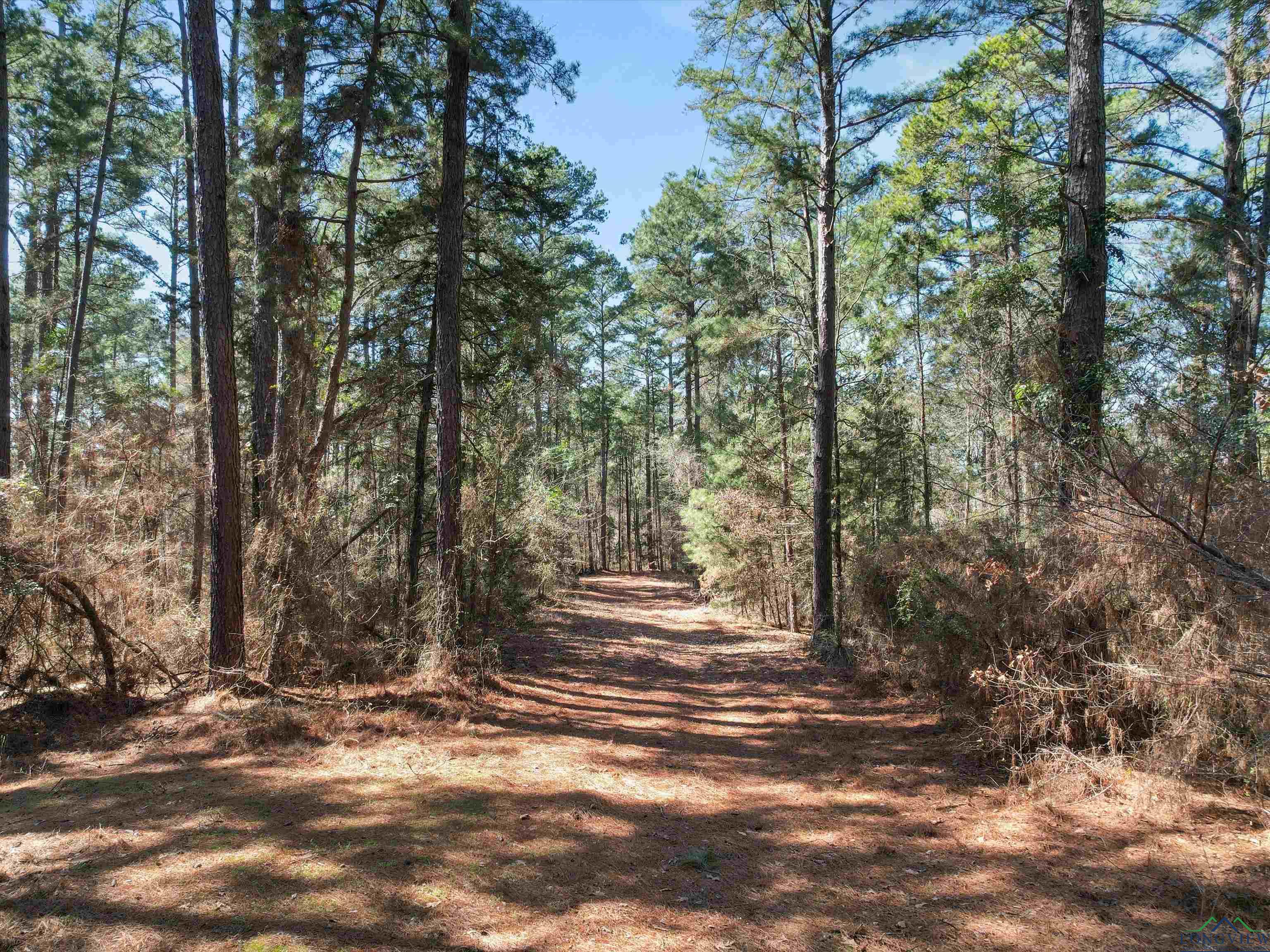 9810 Fm 161 North, Naples, Texas image 2