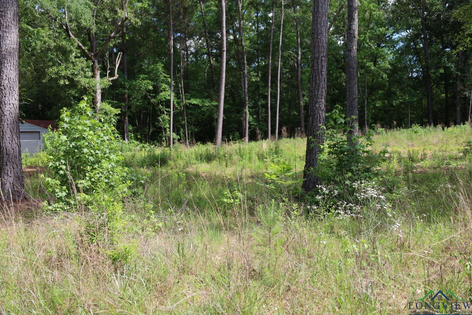 Tbd Forestwood Lot 429, Gilmer, Texas image 3
