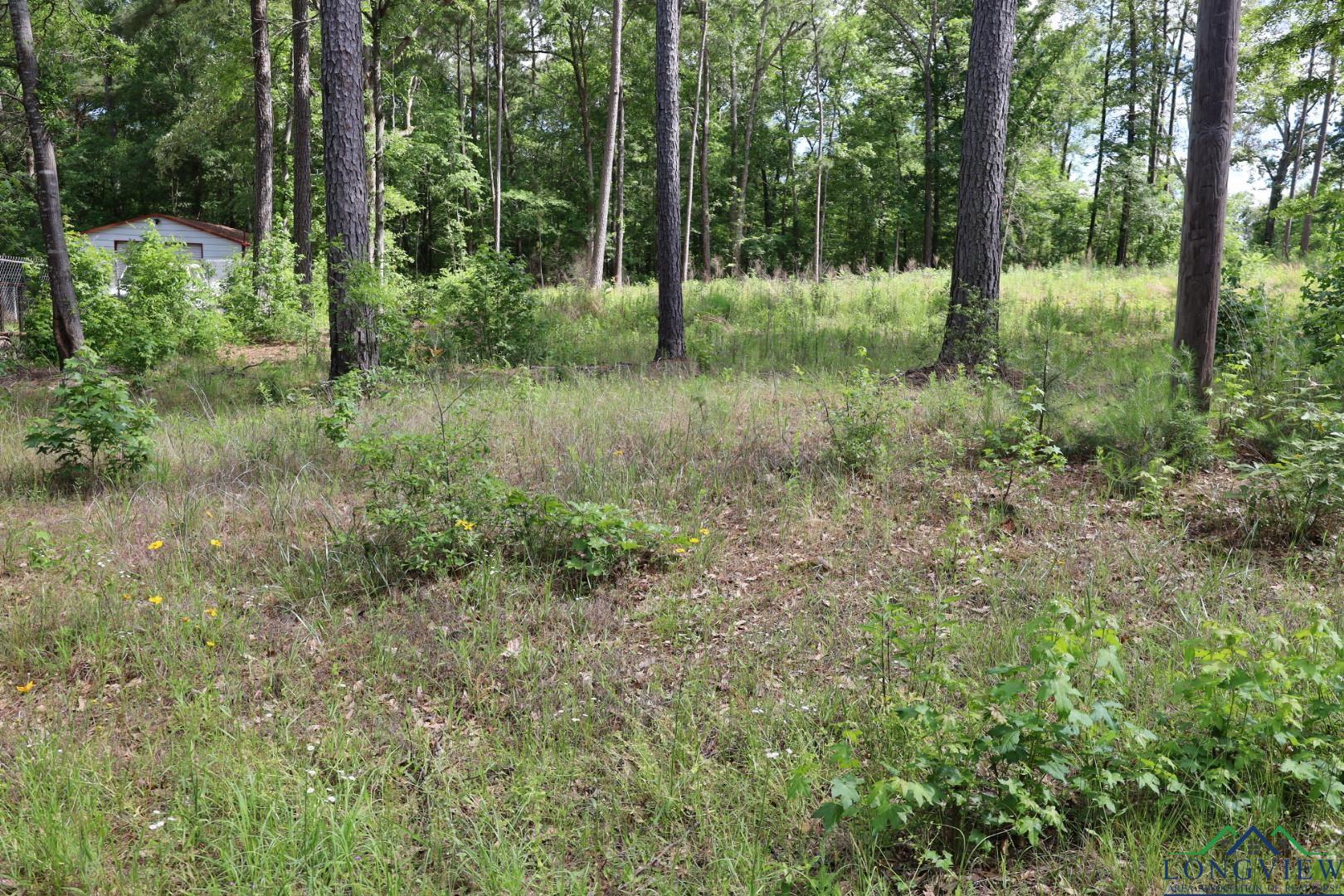 Tbd Forestwood Lot 429, Gilmer, Texas image 1