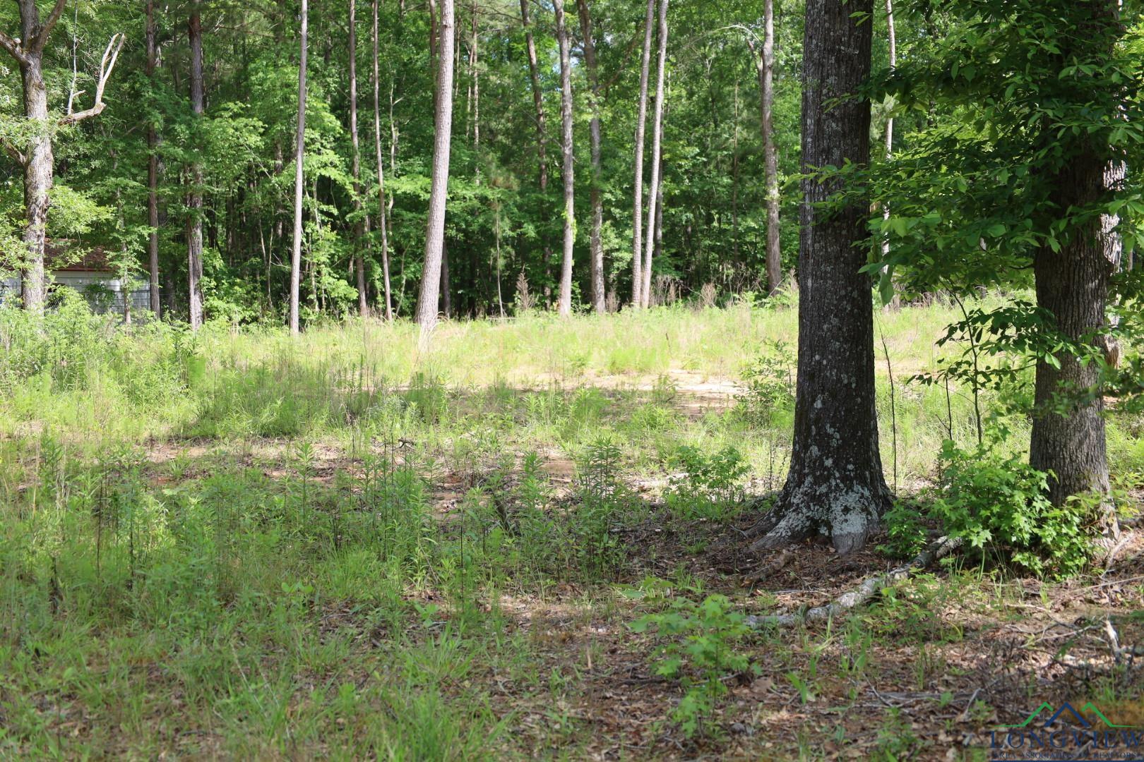 Tbd Forestwood Lot 429, Gilmer, Texas image 5