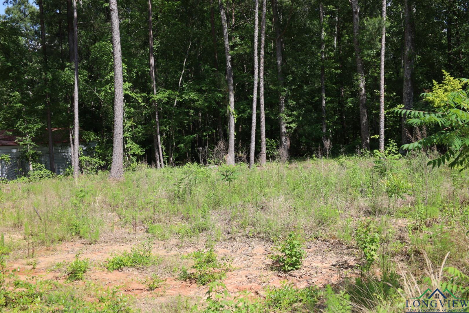 Tbd Forestwood Lot 429, Gilmer, Texas image 6