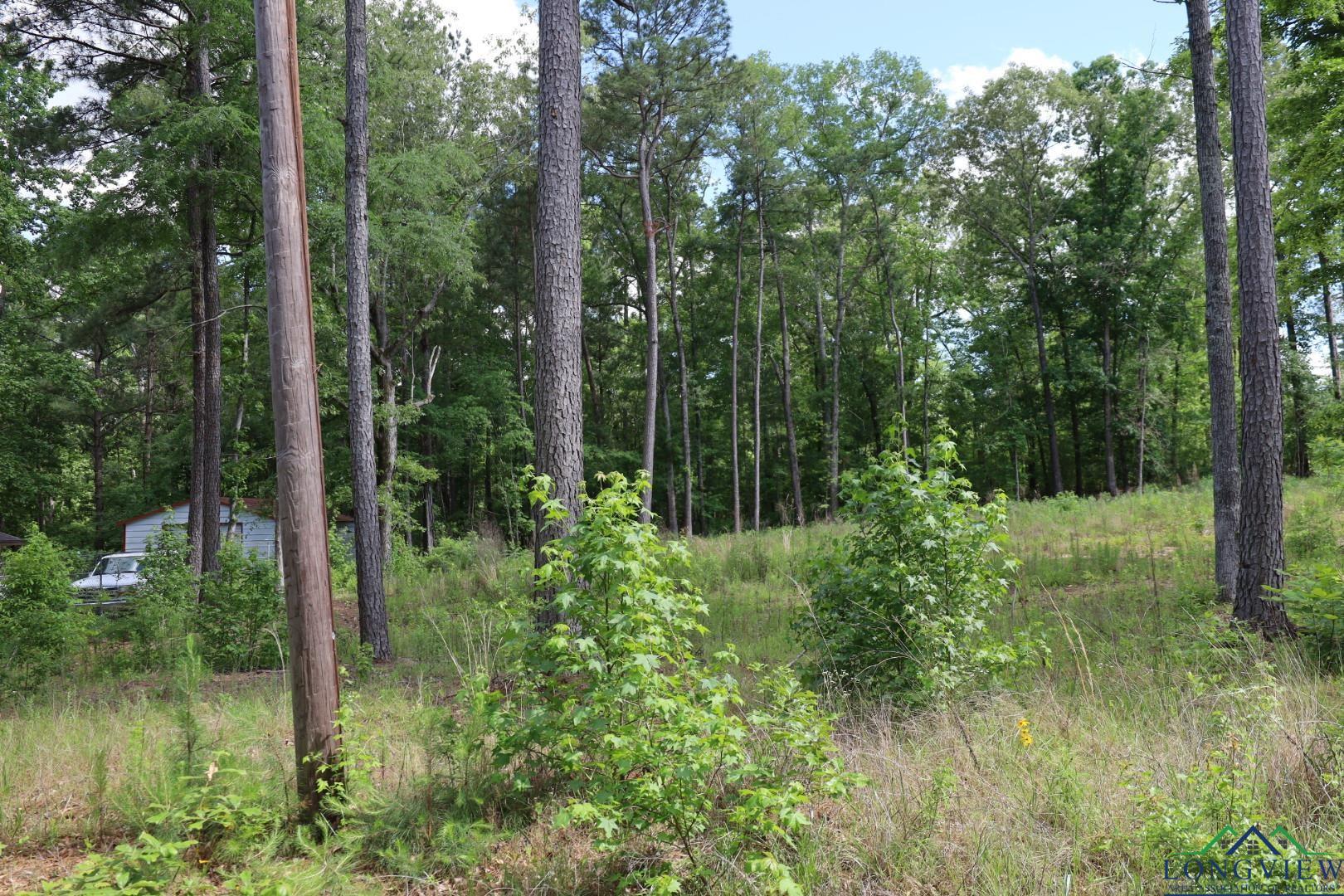 Tbd Forestwood Lot 429, Gilmer, Texas image 2