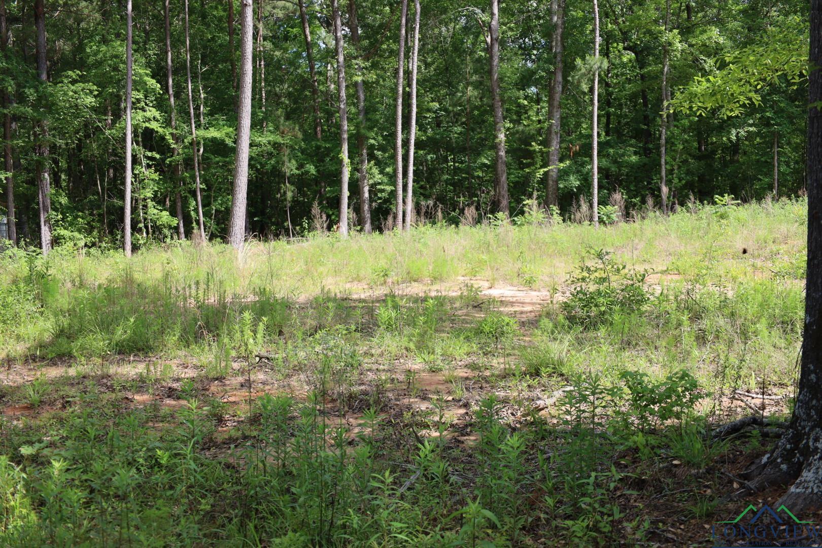 Tbd Forestwood Lot 429, Gilmer, Texas image 4