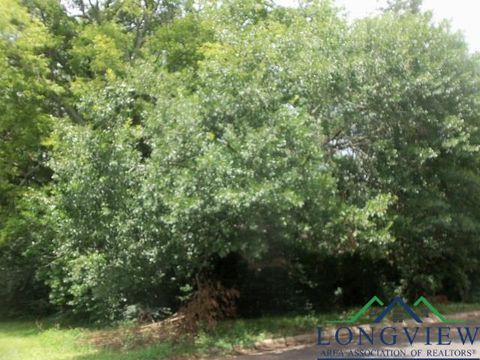 Vacant Land For Sale - 3411 Larkspur Lane<br/> Rusk County, Kilgore, TX 75662