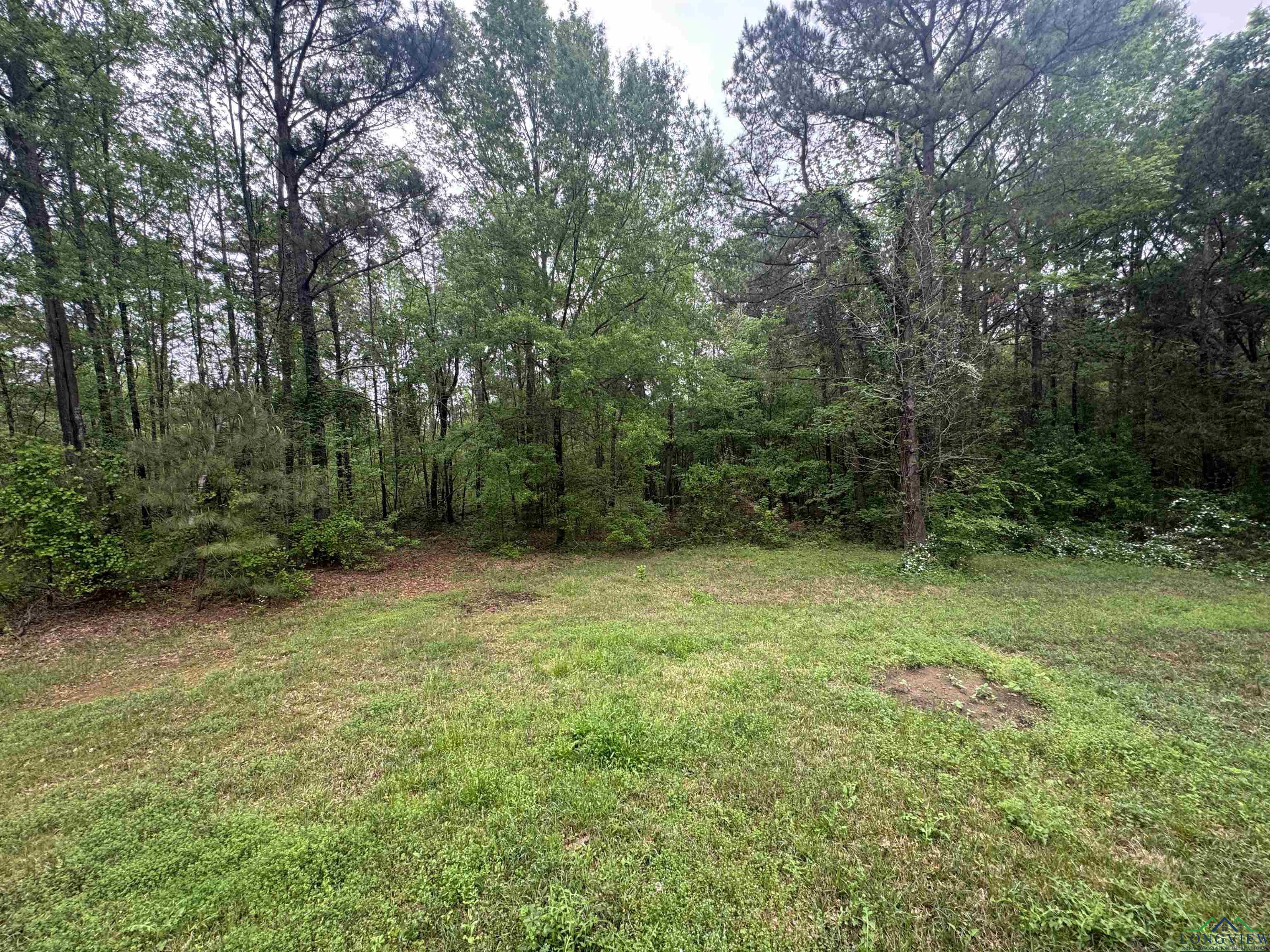 1748 Fm 1252, Kilgore, Texas image 15