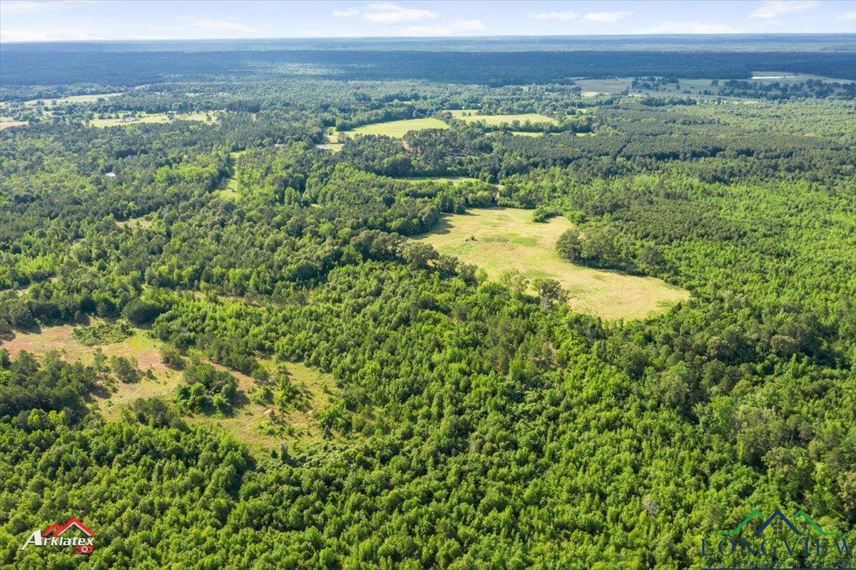 TBD Blackjack Rd, Marshall, Texas image 19