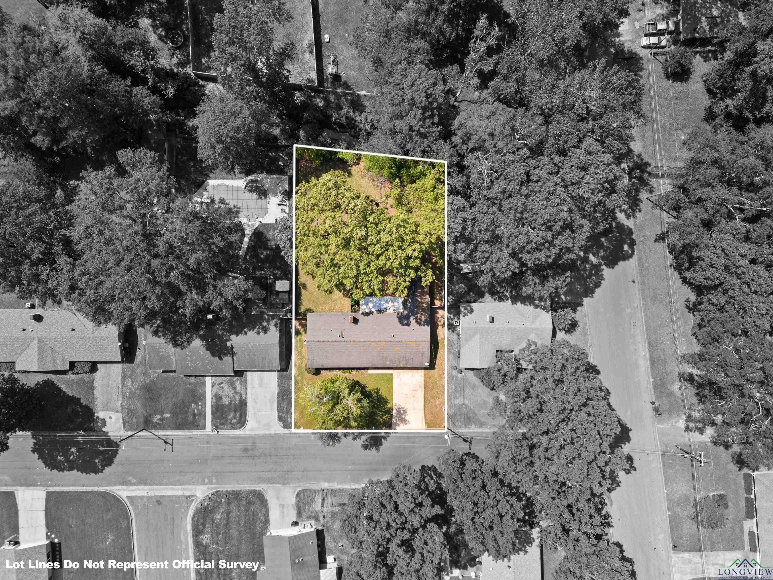202 Vinewood Ln, Longview, Texas image 49