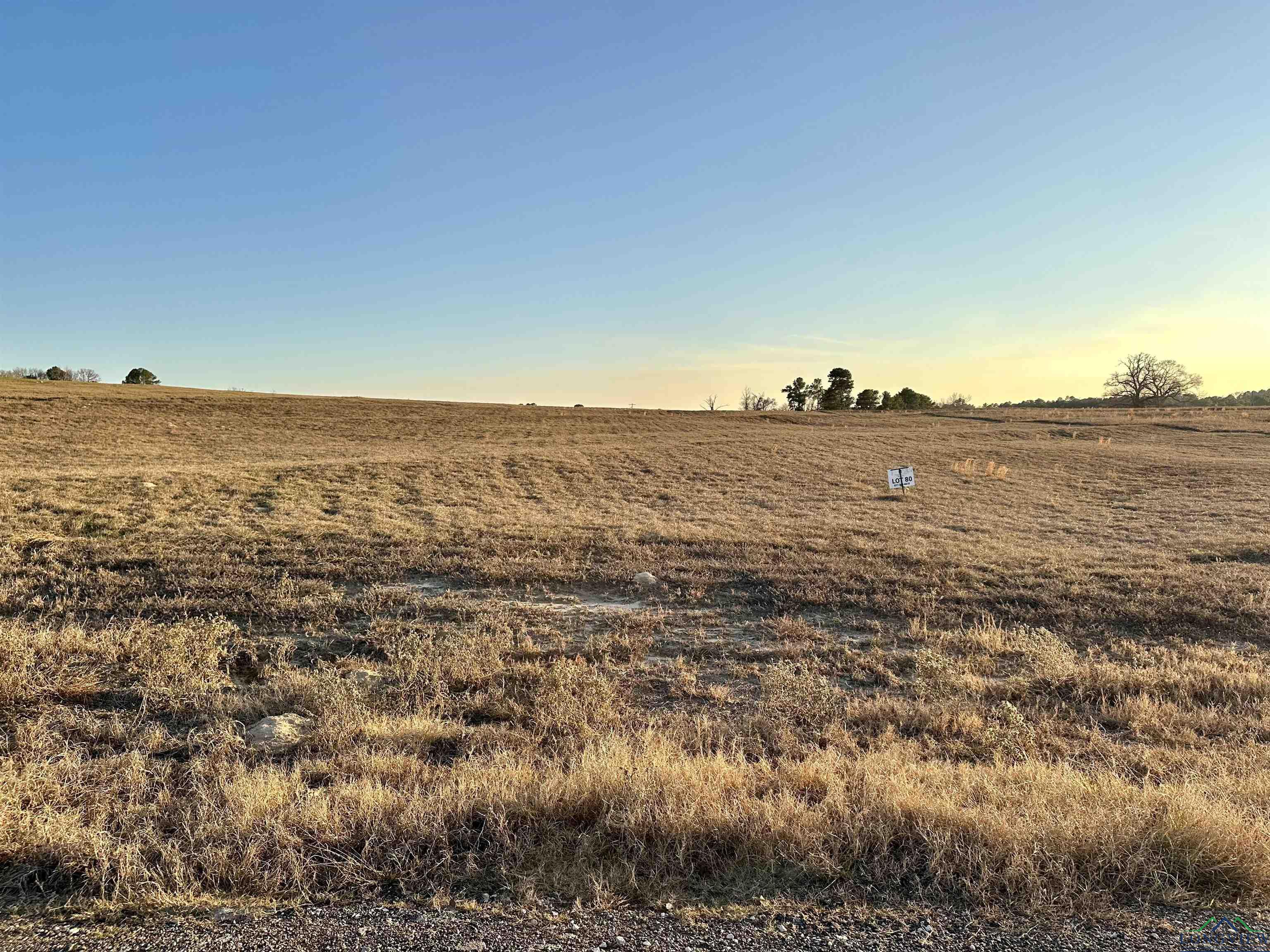 TBD Pr 3399 Lot 80, Big Sandy, Texas image 1