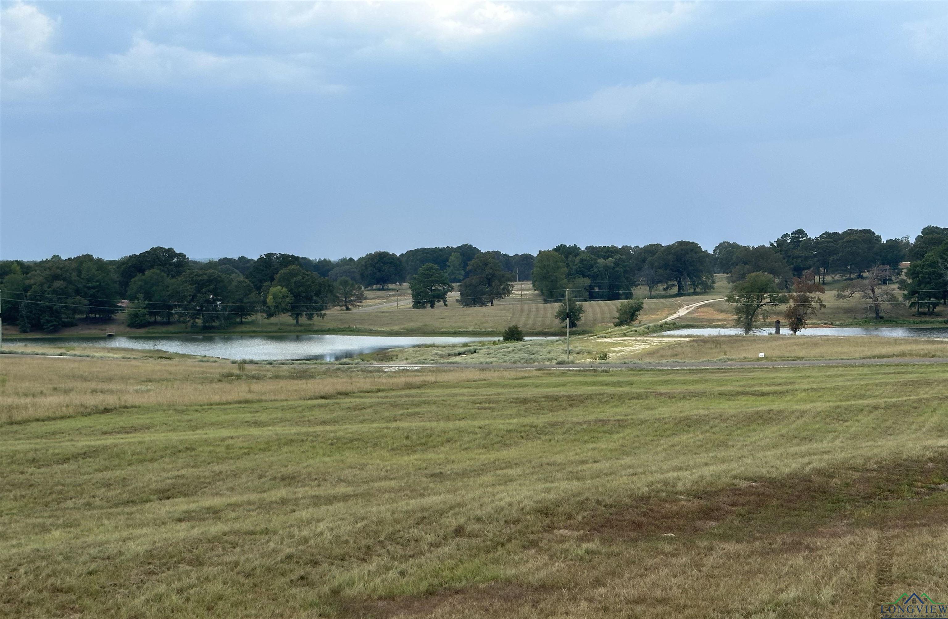 TBD Pr 3399 Lot 80, Big Sandy, Texas image 7