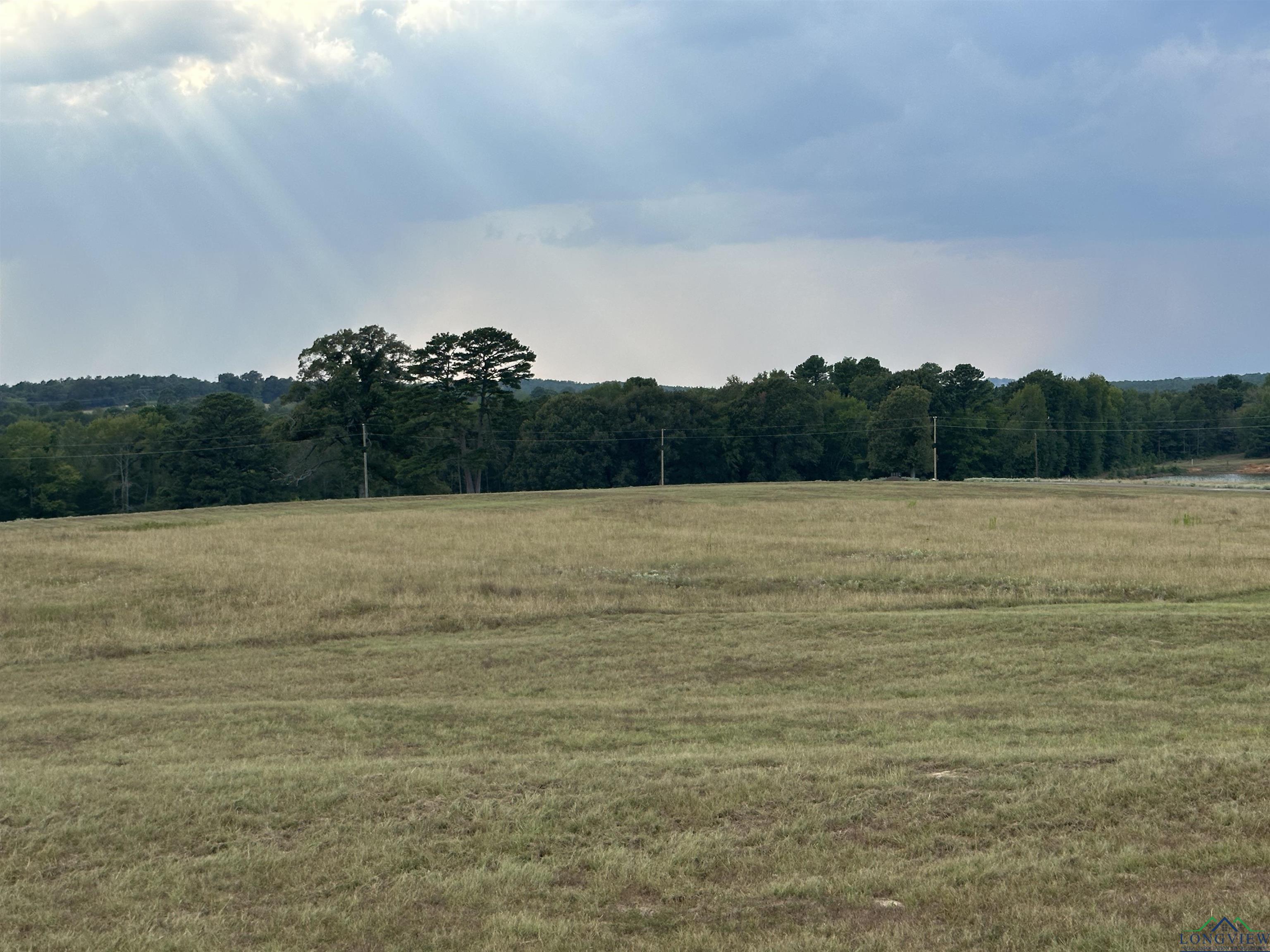 TBD Pr 3399 Lot 80, Big Sandy, Texas image 9