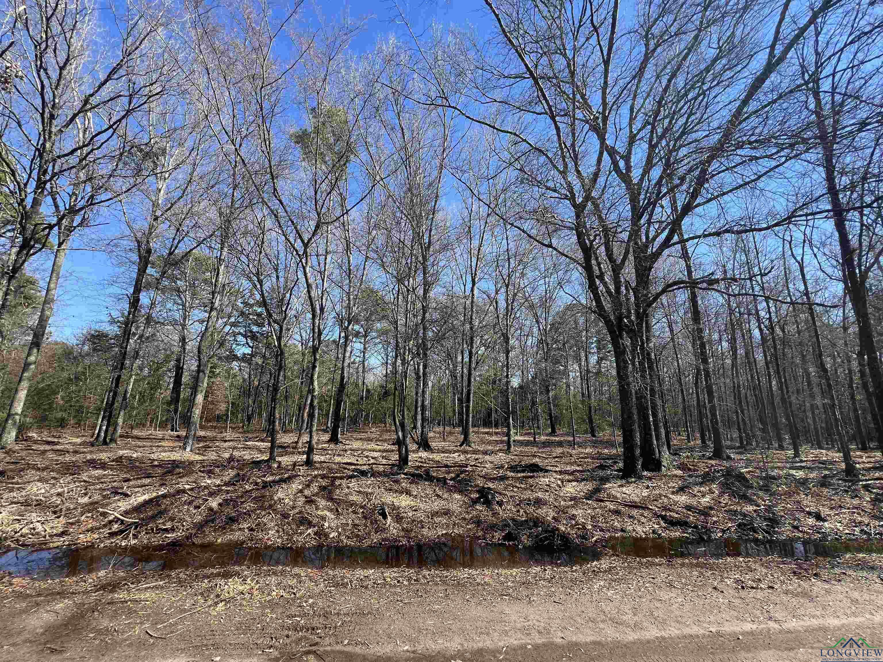 TBD Cr 3104, Pittsburg, Texas image 1