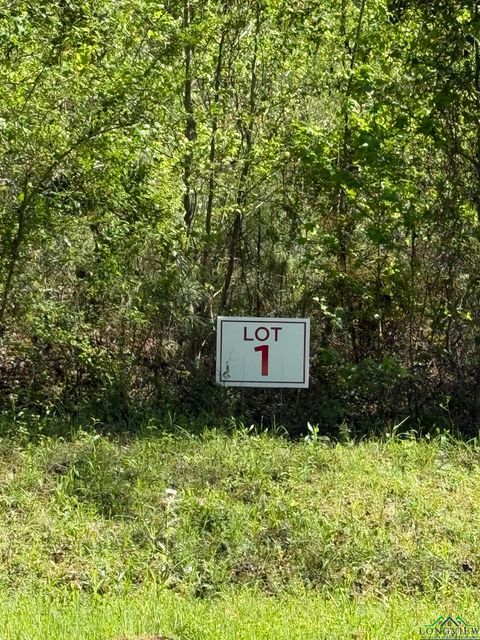 Homes For Sale - TBD LOT 1 S Fm 839<br/> Rusk County, Henderson, TX 75652