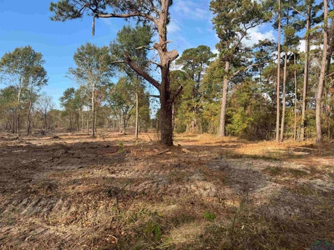 Vacant Land For Sale - LOT 3 TBD Cr 4108<br/> Rusk County, Henderson, TX 75654