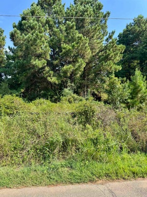 804 E JEFFERSON AVE, WASKOM, TX 75692 - Image c17e96a15713f031c411df325bff0eea/2421982926