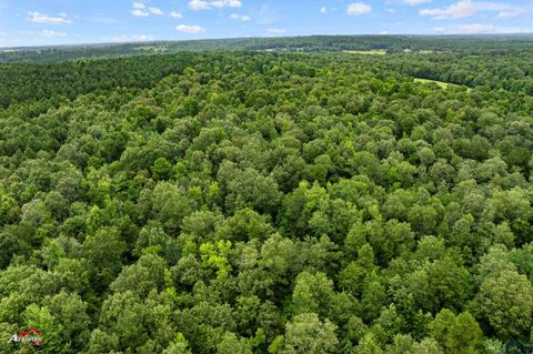 Vacant Land For Sale - TBD Cr 381 D<br/> Laneville, TX 75667