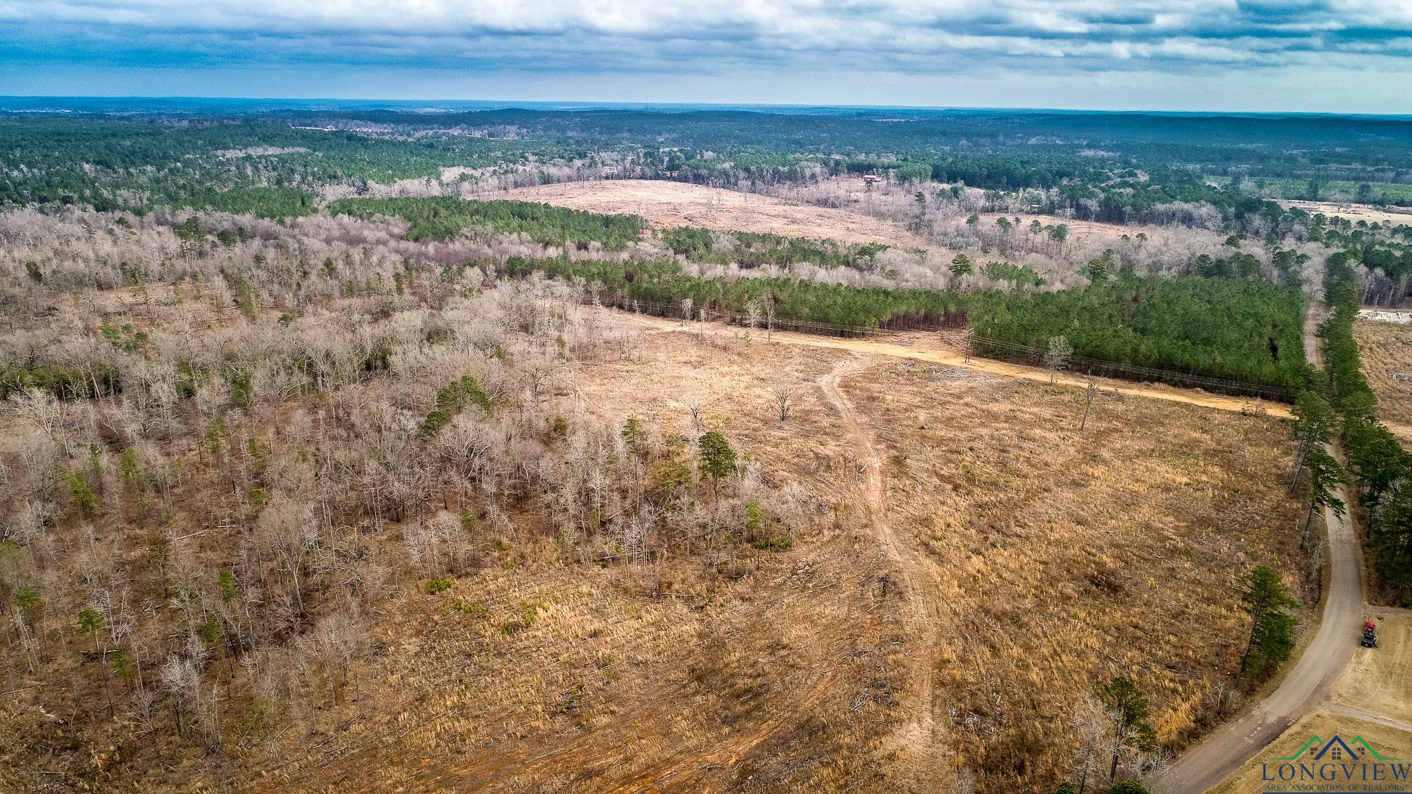 LOT 3 Davidson Rd, Longview, Texas image 8