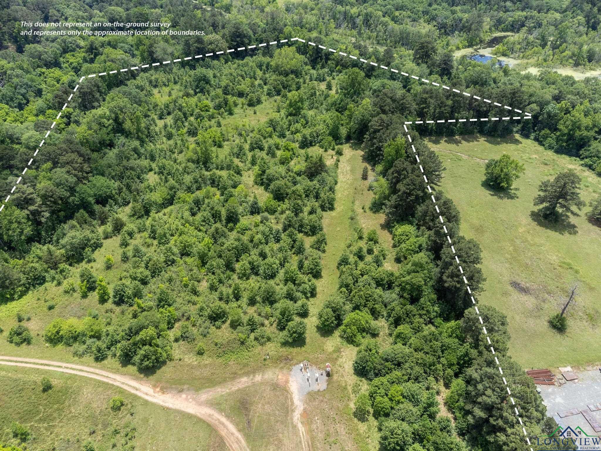 TBD Dancinger Rd, Longview, Texas image 6