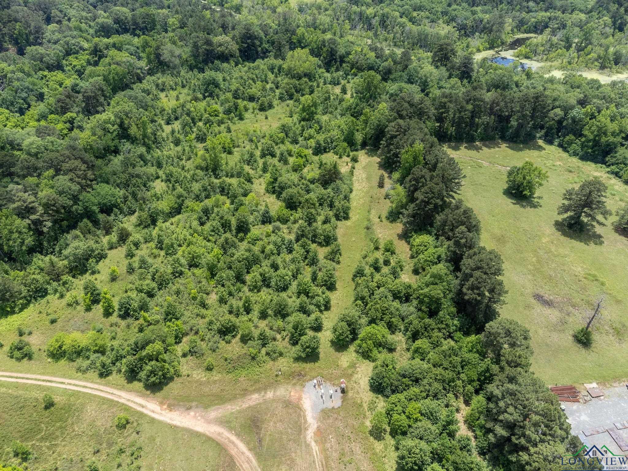TBD Dancinger Rd, Longview, Texas image 7