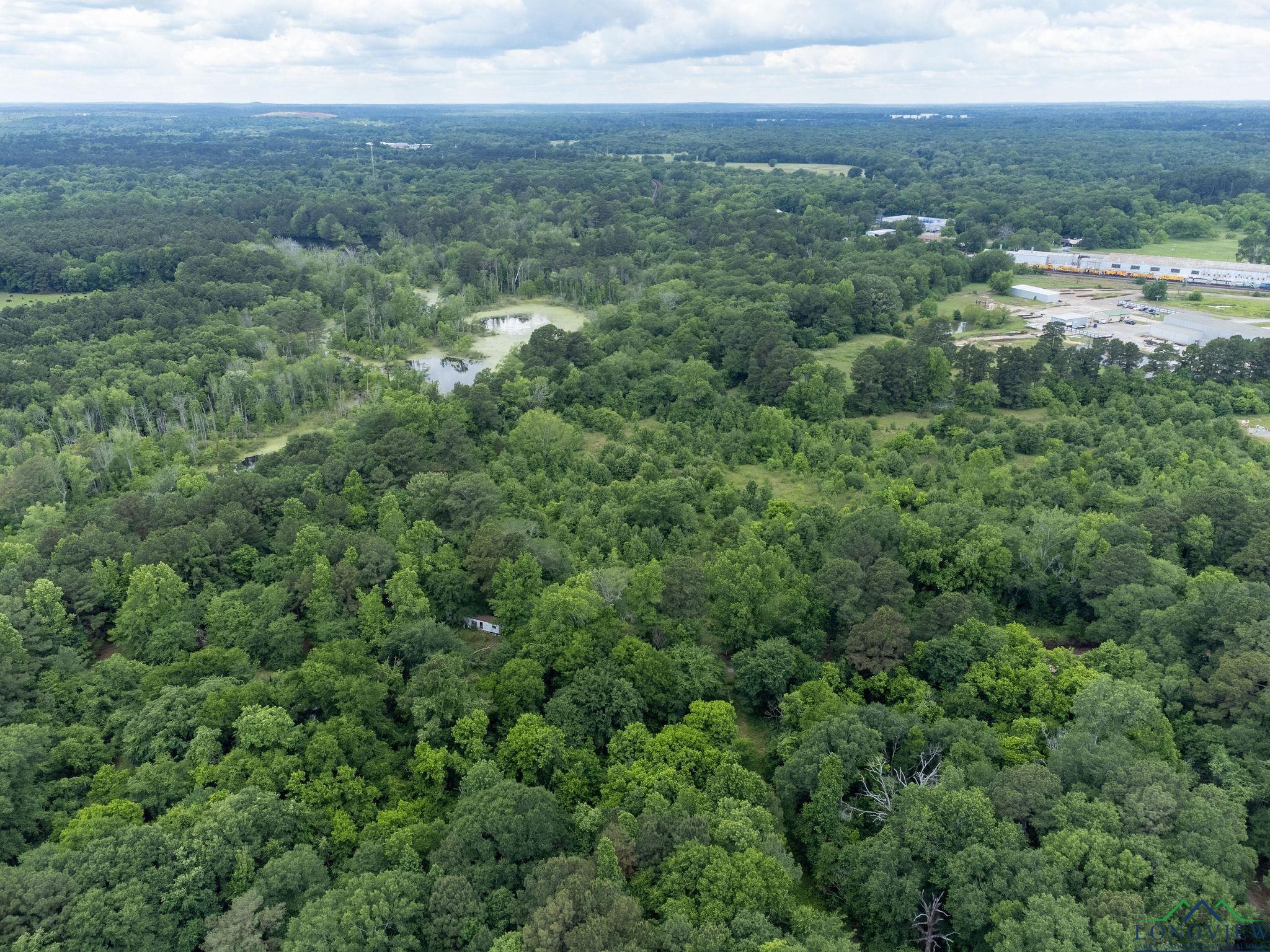 TBD Dancinger Rd, Longview, Texas image 21
