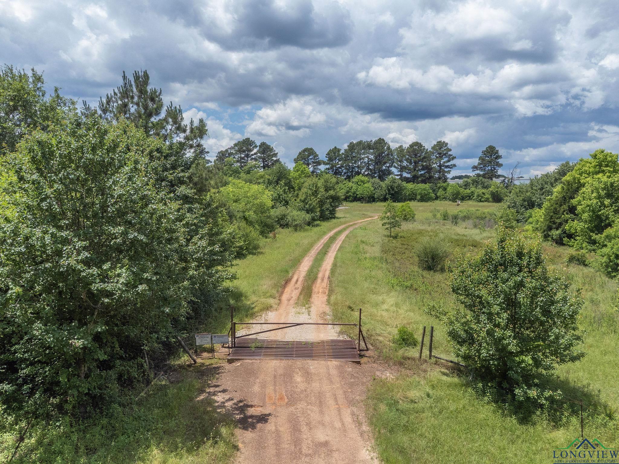 TBD Dancinger Rd, Longview, Texas image 1