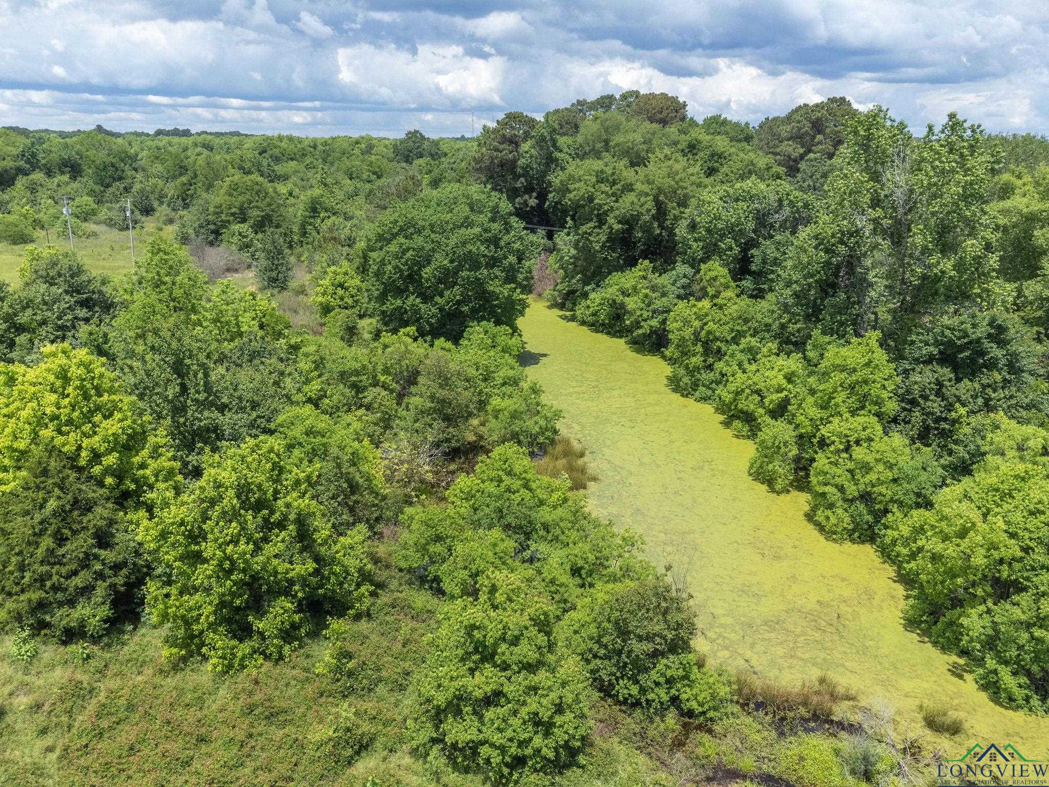 TBD Dancinger Rd, Longview, Texas image 2