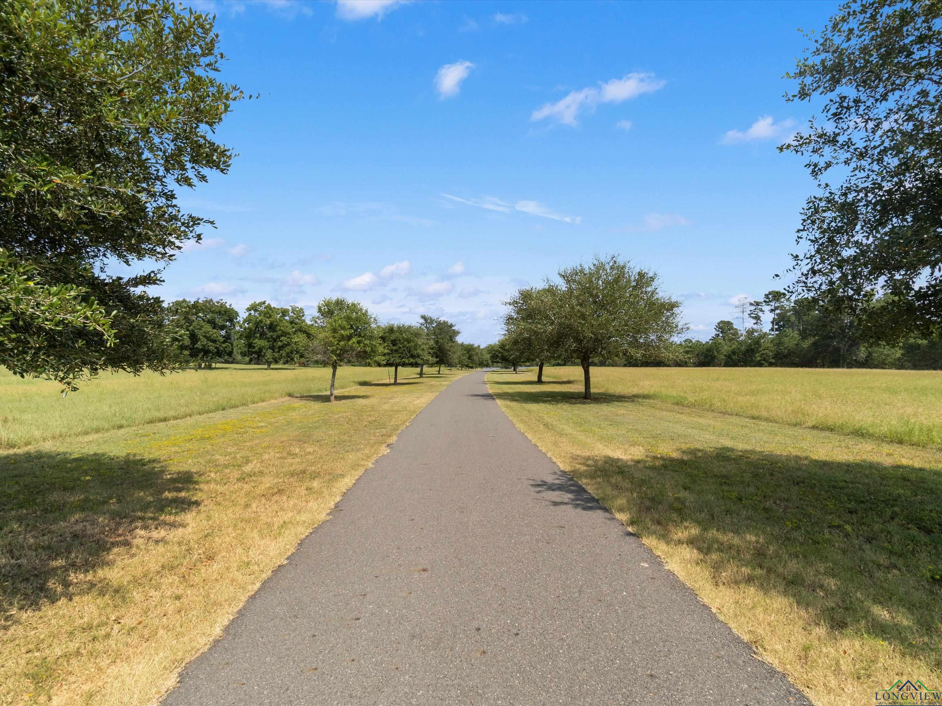 5249 Rosborough Springs Rd, Marshall, Texas image 40