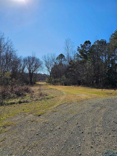Vacant Land For Sale - 0000 Summers Dr<br/> Gregg County, Longview, TX 75604
