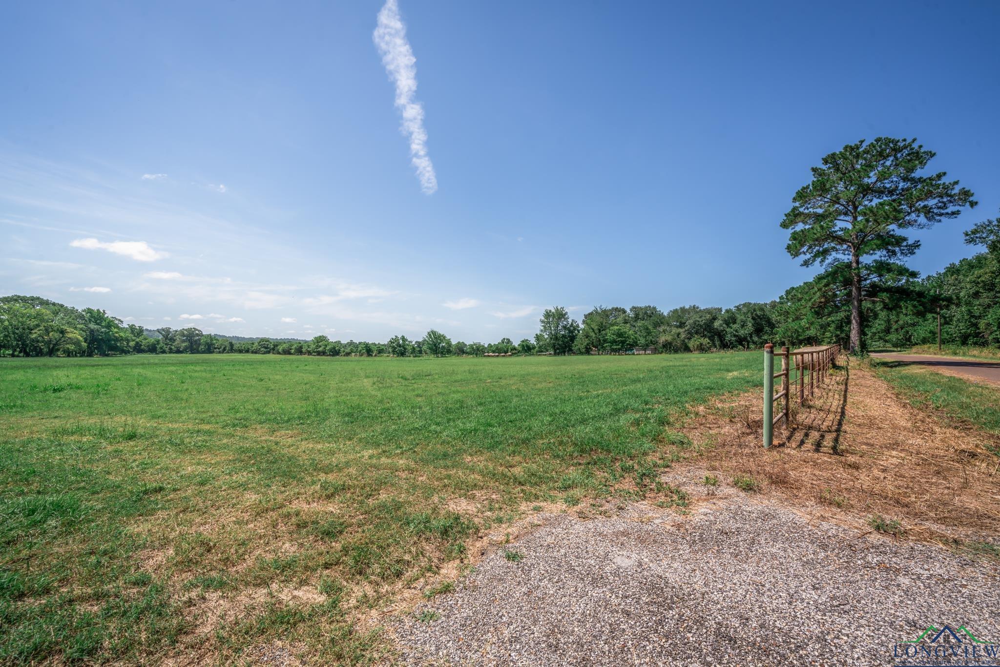 TBD Cr 401 S St, Henderson, Texas image 9