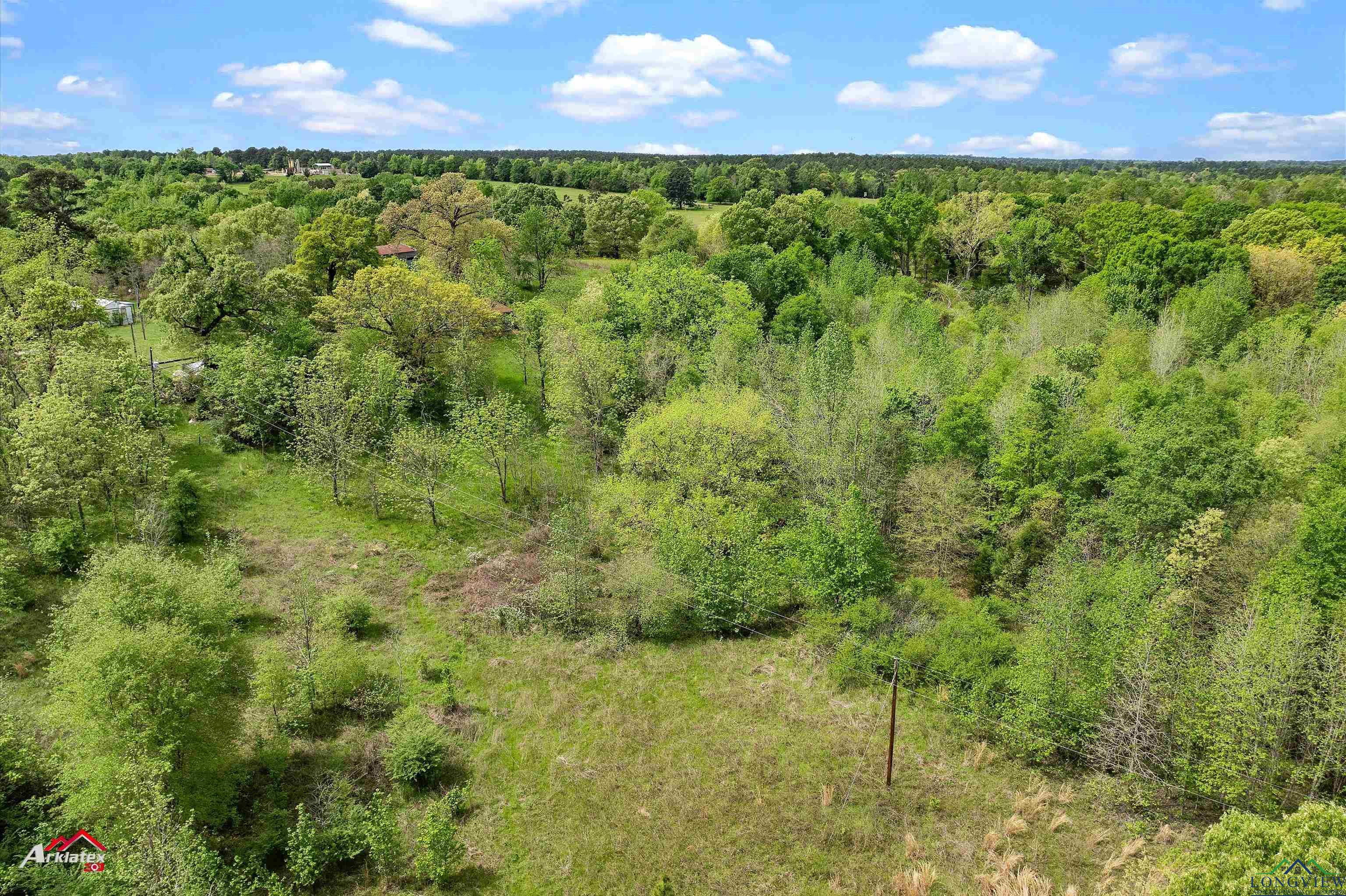 8578 Silver Spruce Rd, Gilmer, Texas image 17