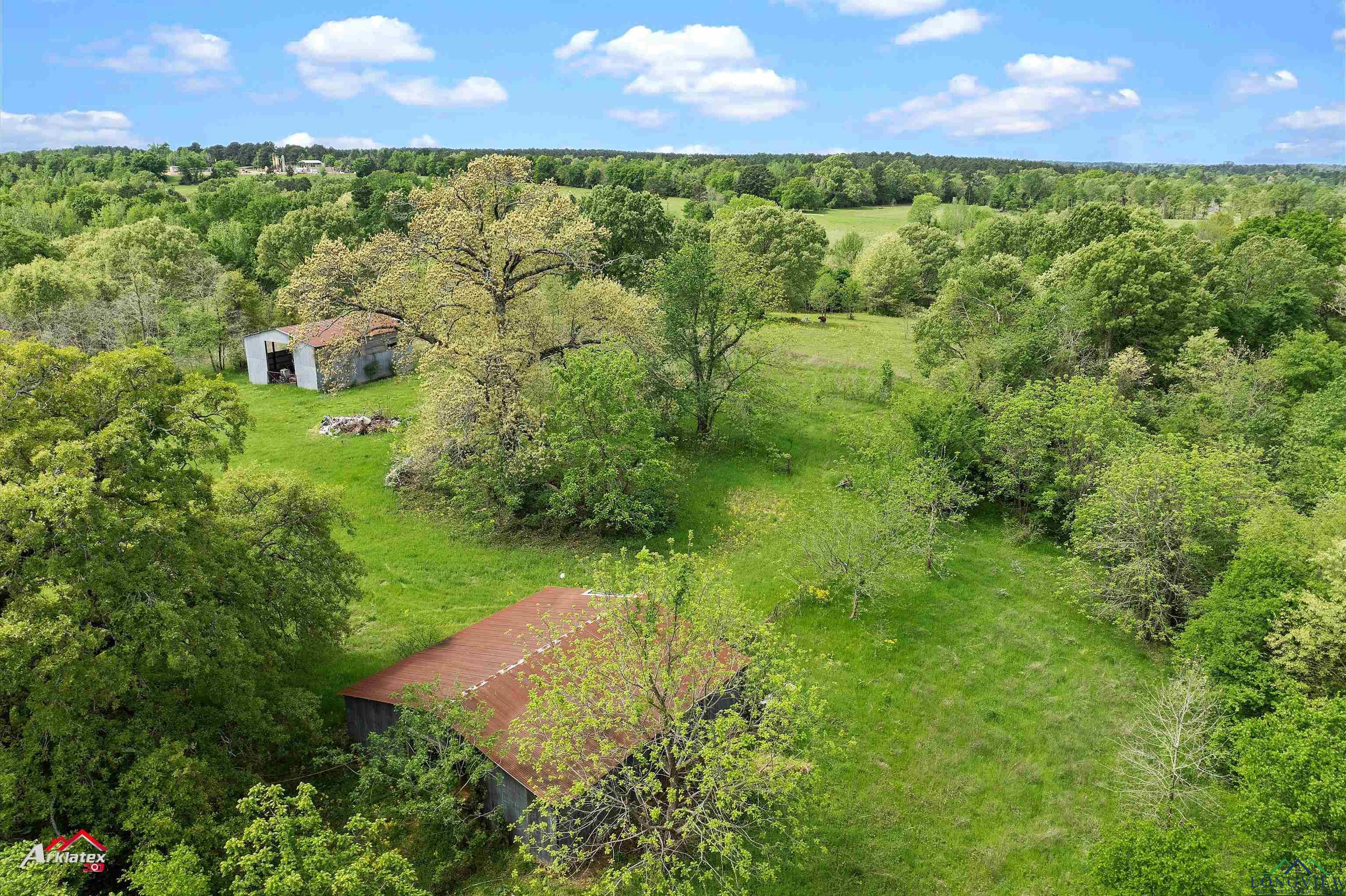 8578 Silver Spruce Rd, Gilmer, Texas image 18