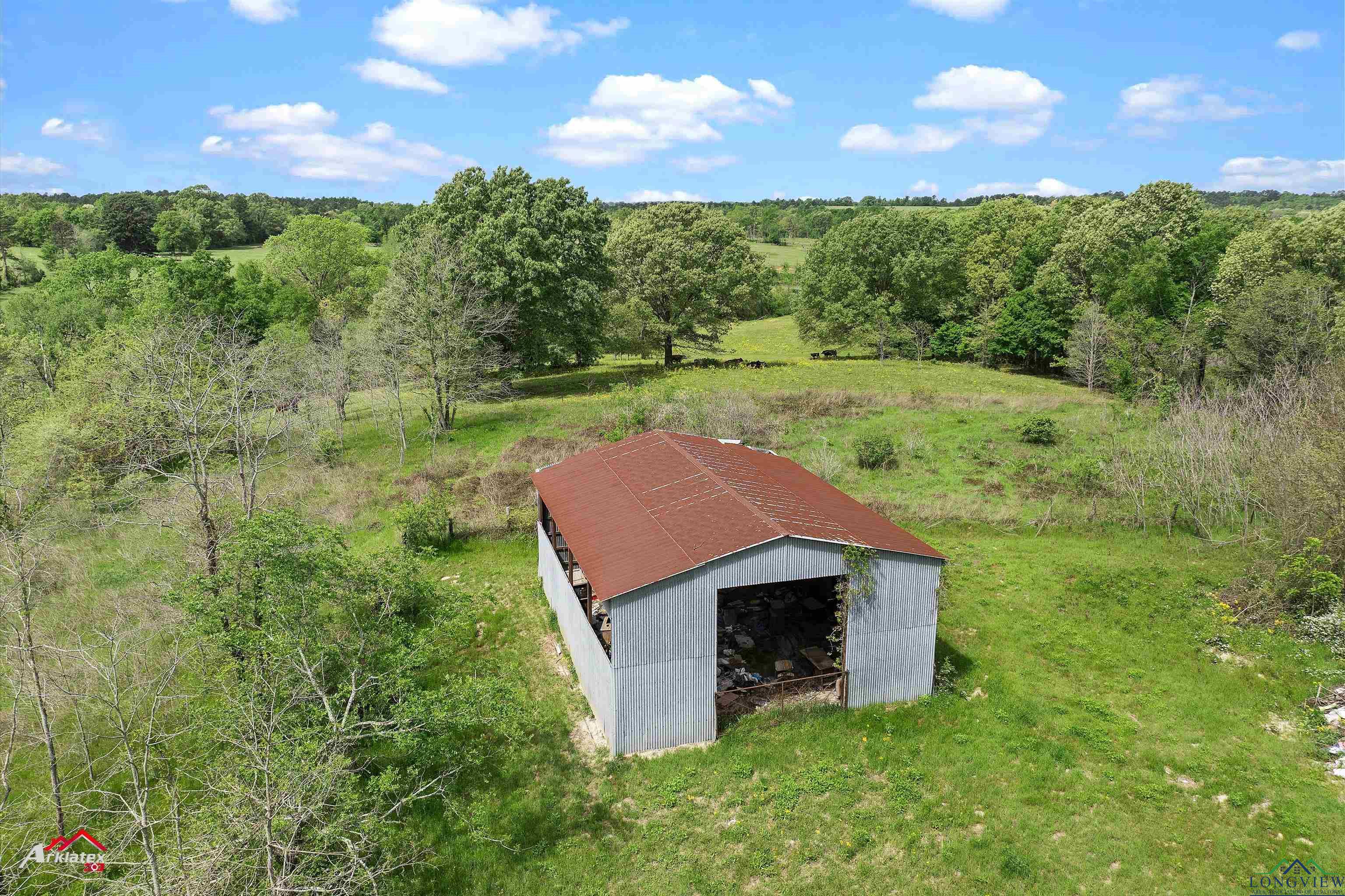 8578 Silver Spruce Rd, Gilmer, Texas image 8