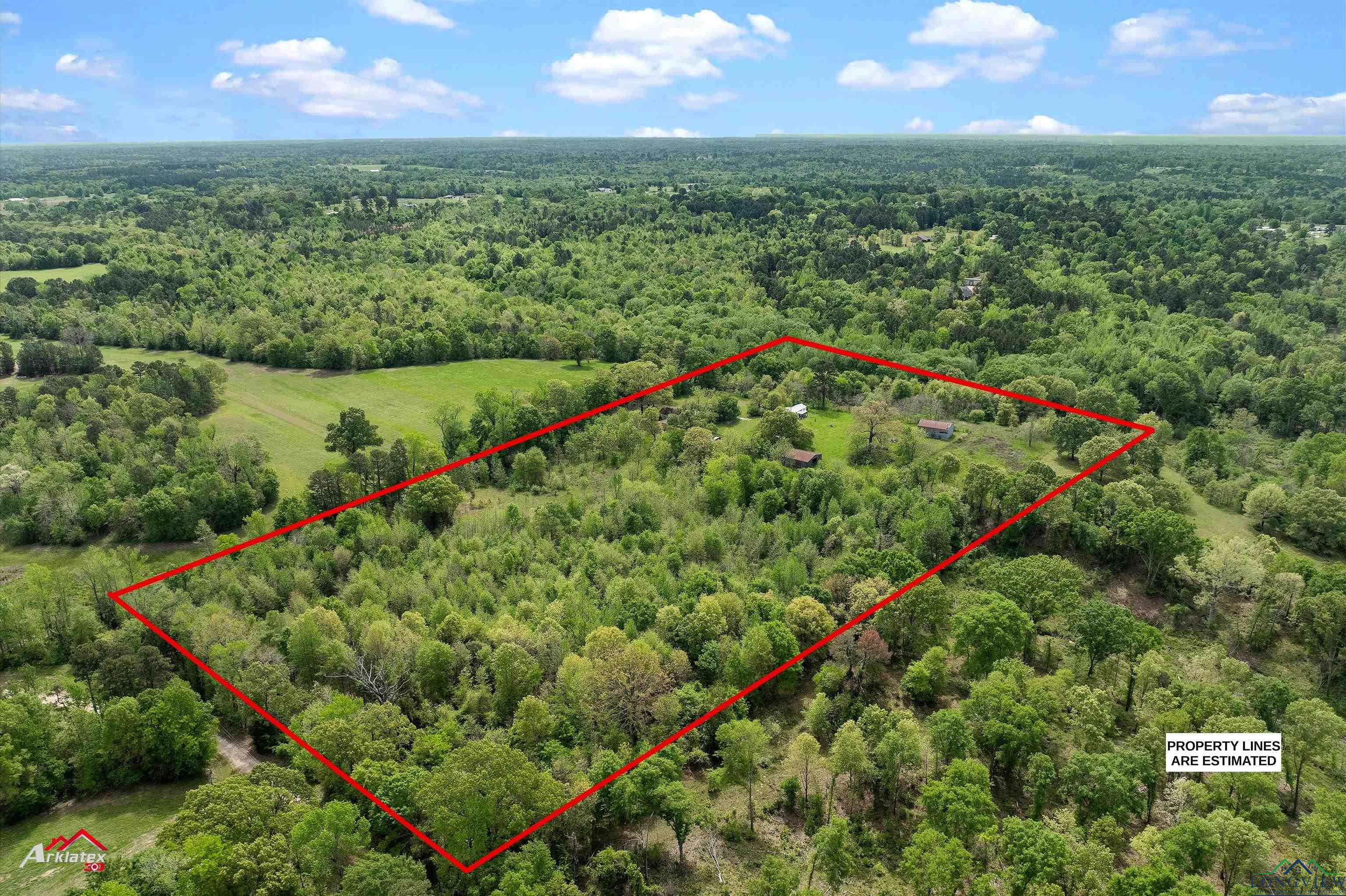 8578 Silver Spruce Rd, Gilmer, Texas image 15