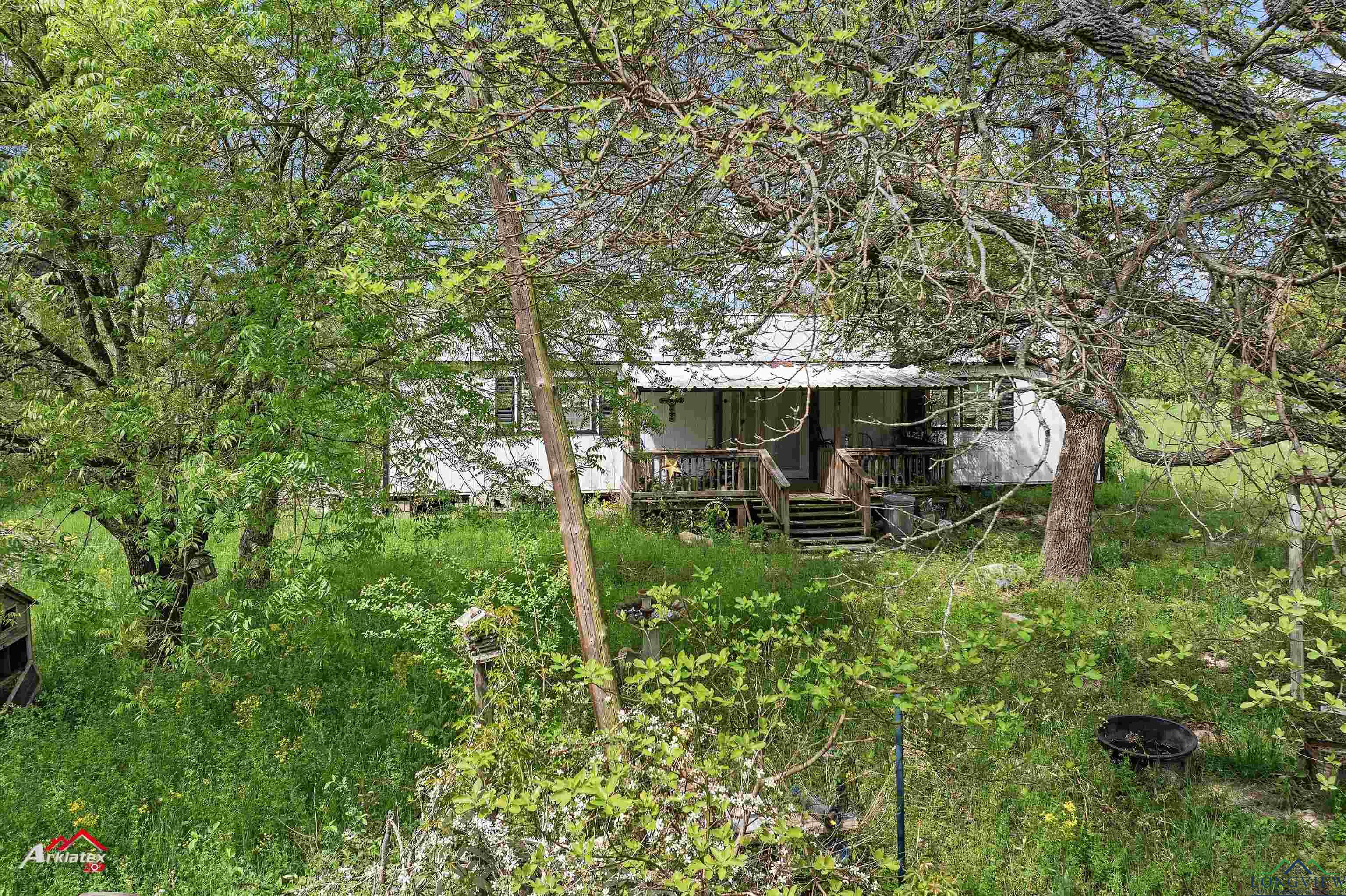8578 Silver Spruce Rd, Gilmer, Texas image 4