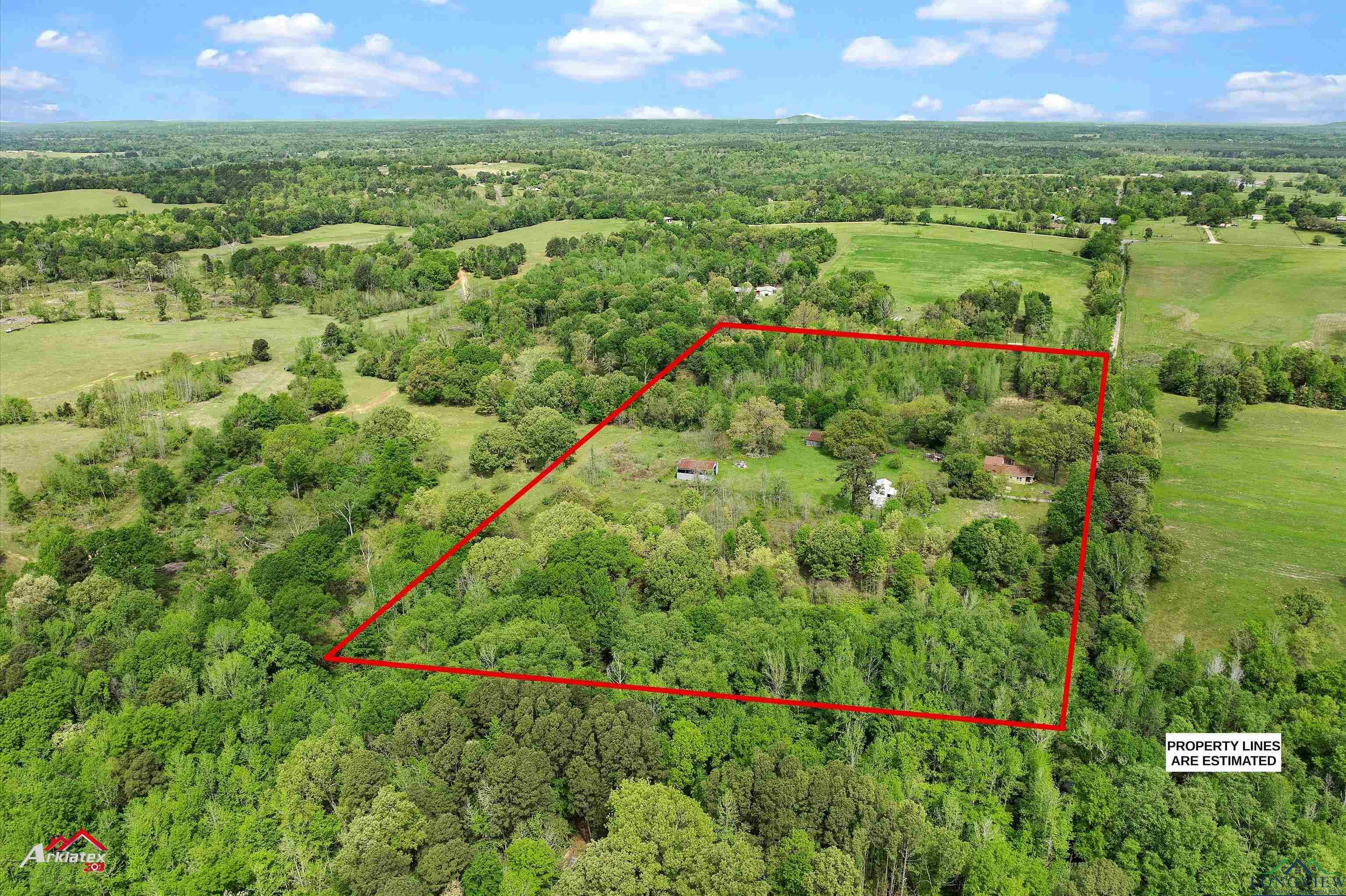 8578 Silver Spruce Rd, Gilmer, Texas image 12