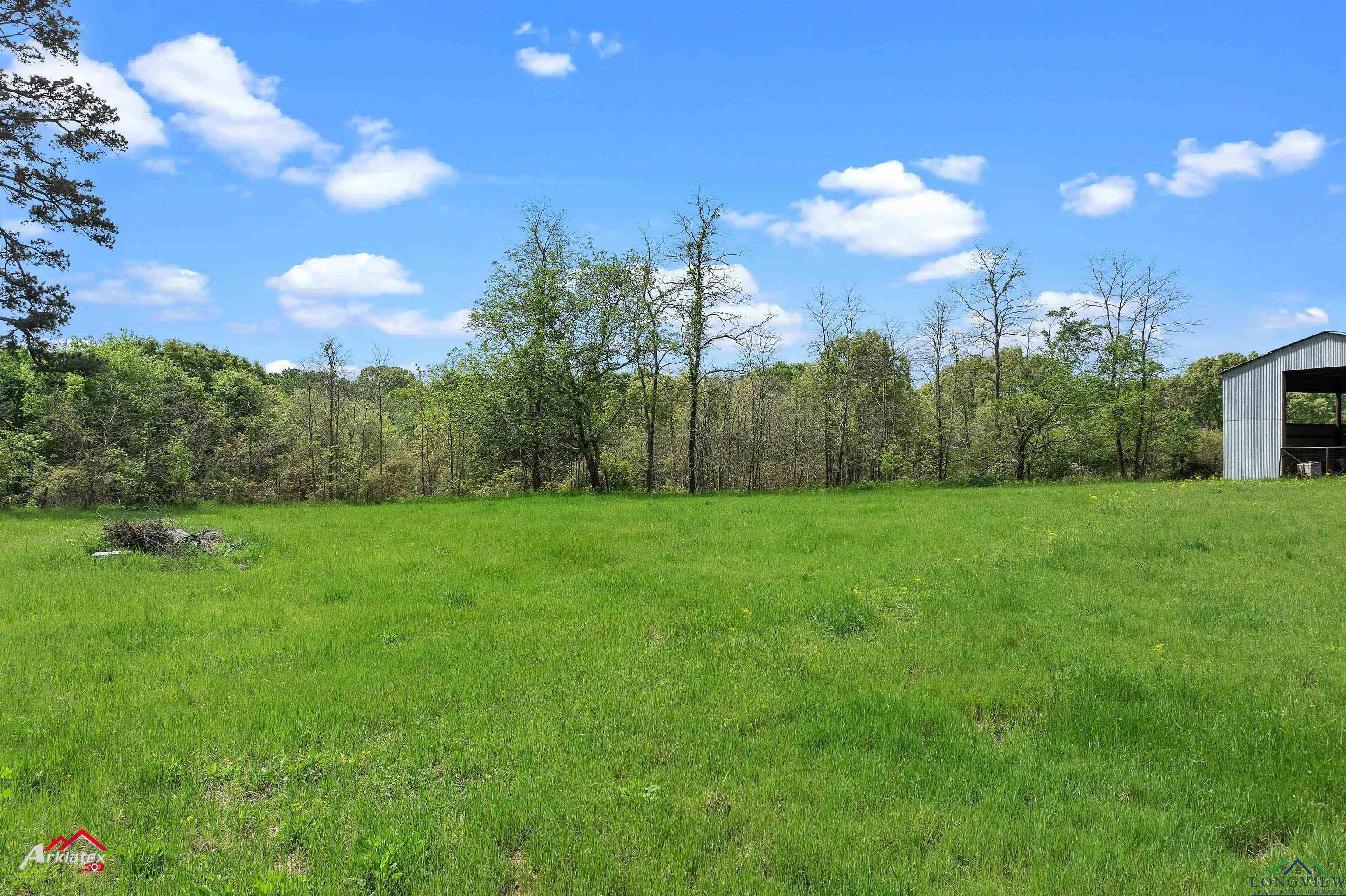 8578 Silver Spruce Rd, Gilmer, Texas image 7
