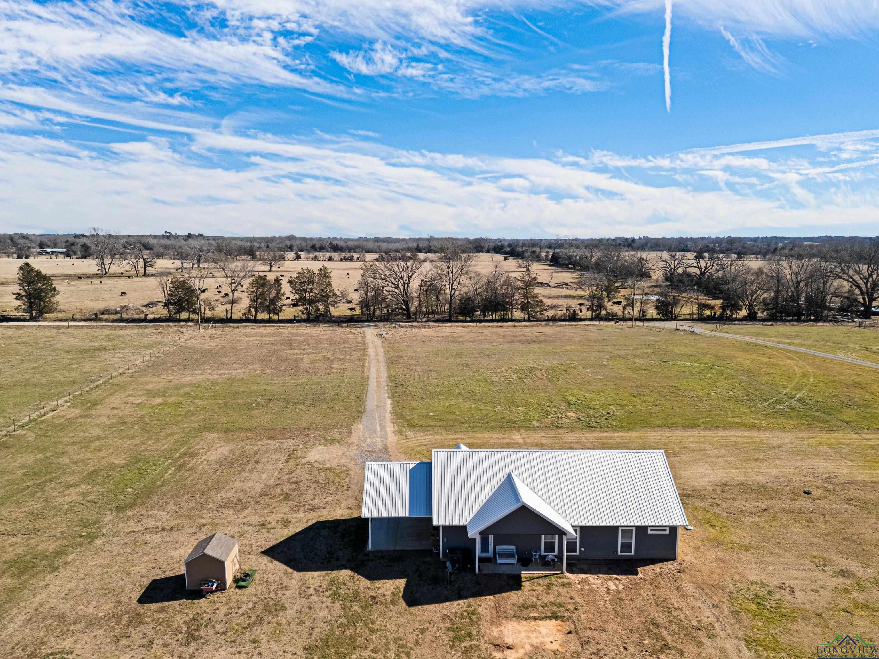 385 E Cr 3104 Street, Pittsburg, Texas image 15