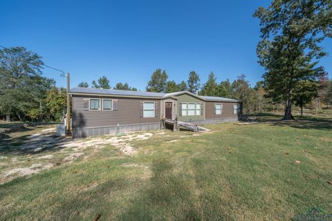 Mobile Home For Sale - 548 Private Road 4615<br/> Harrison County, Harleton, TX 75651
