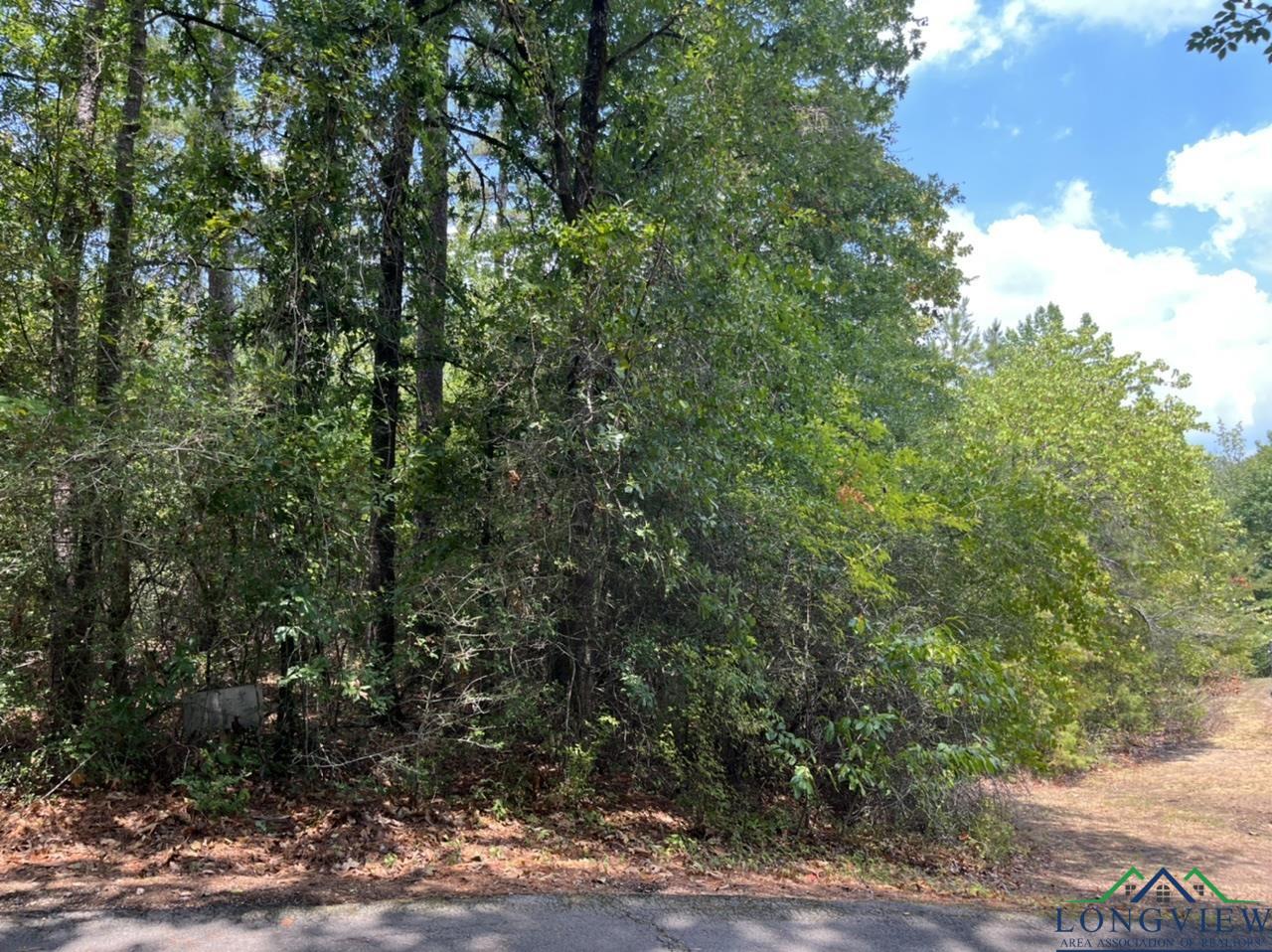 TBD Cliffside Path Lot #384, Holly Lake Ranch, Texas image 1