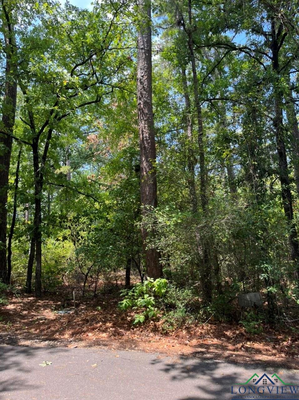 TBD Cliffside Path Lot #384, Holly Lake Ranch, Texas image 8